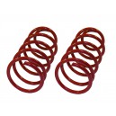 Sportovn&iacute; pružiny 70/-mm Renault 19 II (D53)_1