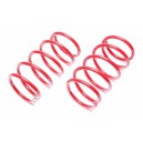 Sportovn&iacute; pružiny 40/- mm BMW 5 (E34)